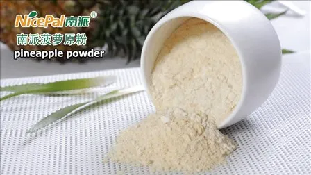 Polvere di papaia naturale essiccata a spruzzo/polvere vegetale di papaia