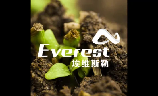 Aminoacido vegetale Everest 80% in polvere